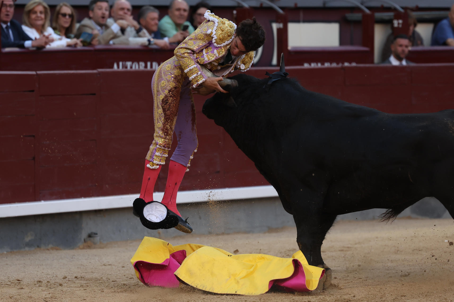 El diestro Víctor Hernández es cogido por el astado en la lidia al segundo de los de su lote, durante la corrida de la Feria de San Isidro celebrada este jueves en la plaza de toros de Las Ventas, en Madrid. EFE/ Kiko Huesca