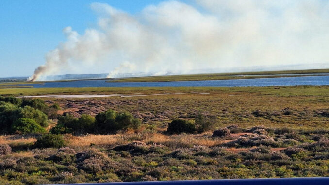 Los efectivos del Plan Infoca continúan los trabajos para dar por controlado el incendio en la Reserva Natural de las Marismas del Burro, en el término municipal de Gibraleón (Huelva), y que se encuentran "muy avanzados" en la zona norte, donde se localiza el foco que comenzó como una reproducción de un fuego del domingo. EFE/ X/infoca De Huelva  *****SOLO USO EDITORIAL/SOLO DISPONIBLE PARA ILUSTRAR LA NOTICIA QUE ACOMPAÑA (CRÉDITO OBLIGATORIO) *****
