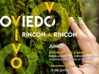 Bosque La Zoreda con vestigios de arqueología industrial en Oviedo