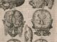 Portada del podcast Mnemósine de la Biblioteca Nacional de España, con ilustración histórica de anatomía humana del siglo XVI
