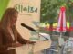 Cartel anunciador de la Feria Taurina de Collado Villalba en finca Malvaloca por Santiago Apóstol