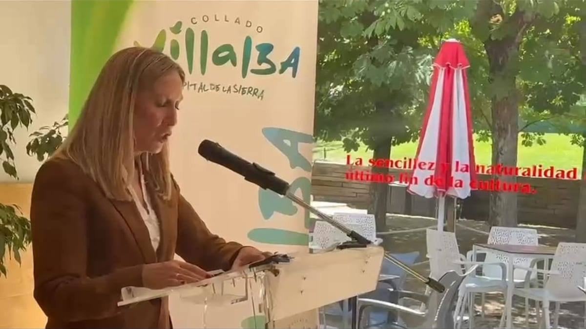 Cartel anunciador de la Feria Taurina de Collado Villalba en finca Malvaloca por Santiago Apóstol