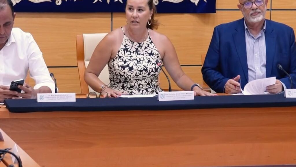 Cabildo and Municipalities of Fuerteventura Call for Restoration of Maritime Connectivity – Vivir Ediciones Cabildo and Municipalities of Fuerteventura Call for Restoration of Maritime Connectivity – Vivir Ediciones