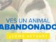 Infografía del Ayuntamiento de Huelva sobre cómo actuar ante un animal abandonado: protege, avisa y comunícate con los servicios municipales