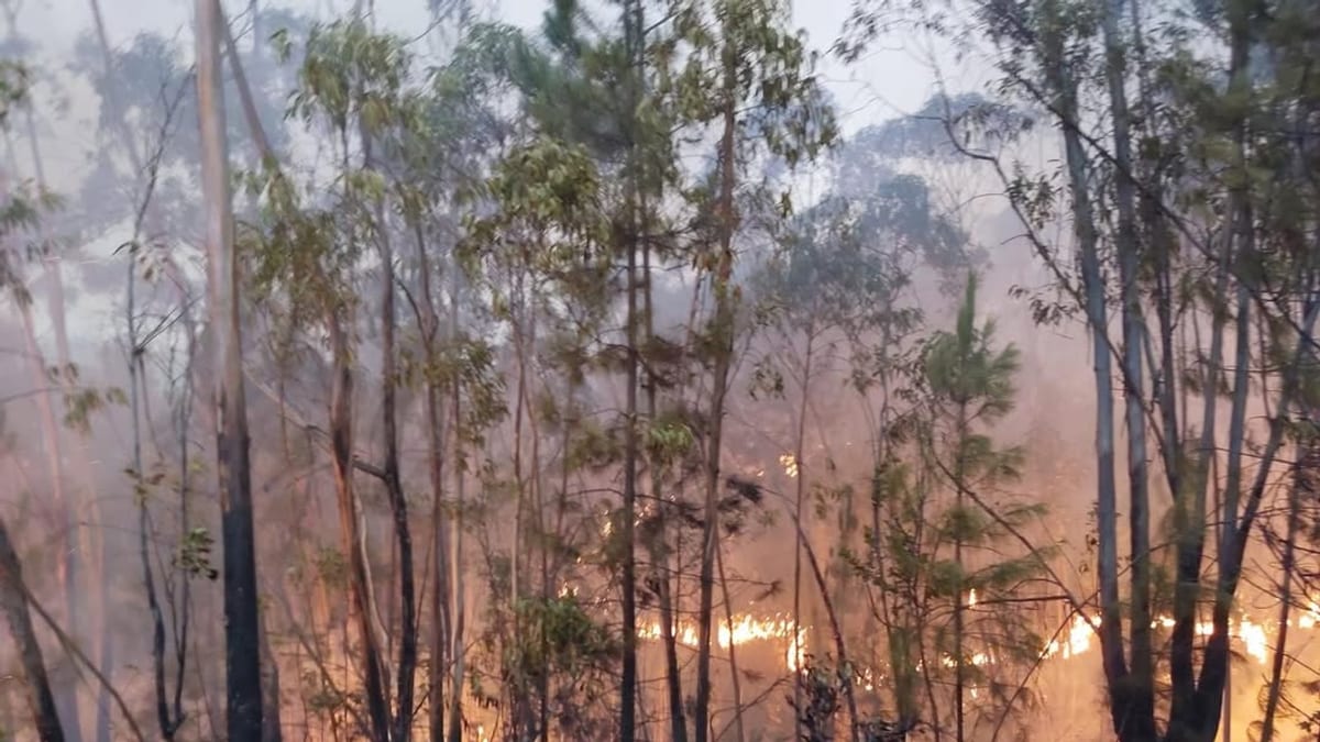 Efectivos del Consorcio de Bomberos de Huelva del Parque de Bomberos de Jabugo desplegados en labores de extinción del incendio forestal en Almonaster la Real