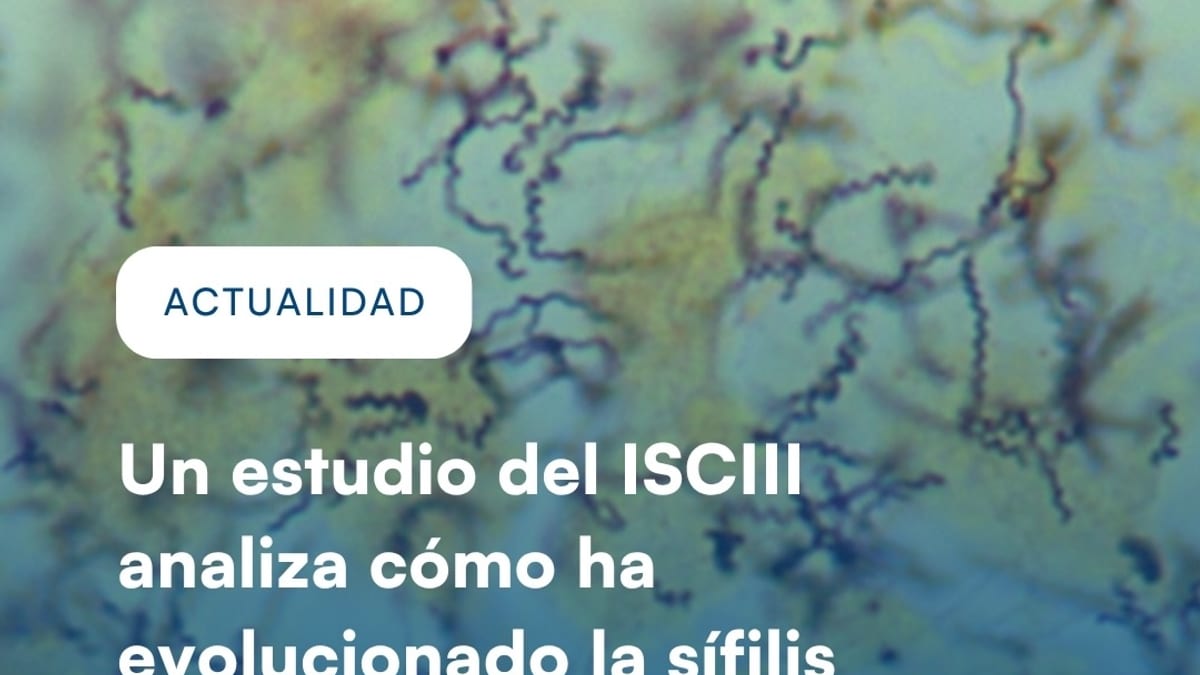 Infografía sobre estudio del ISCIII sobre sífilis congénita en España 2016-2024