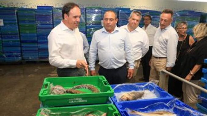 Pérez Llorca destaca aumento del 40% en presupuesto para pesca Pérez Llorca en la lonja de pescadores de Santa Pola durante su visita para anunciar inversiones en infraestructuras pesqueras