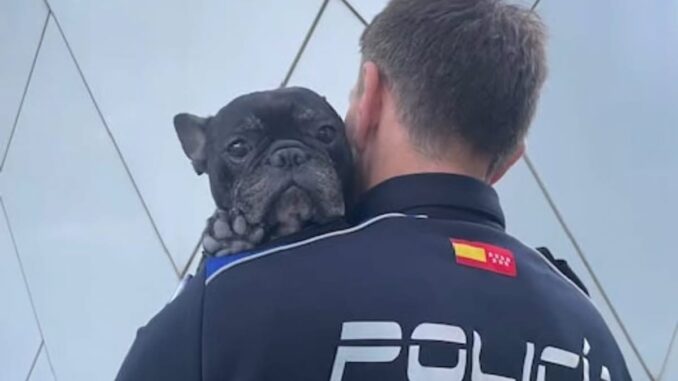 Agentes de la Policía Local de Alcobendas junto a un perro policía en conmemoración del Día Internacional del Perro
