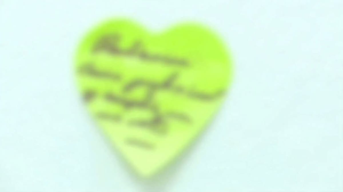 Símbolo de corazón verde lima que representa la iniciativa social del Servicio de Empleo de San Sebastián de los Reyes