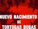 Neonatos de tortuga boba recién nacidos en La Manga, Murcia