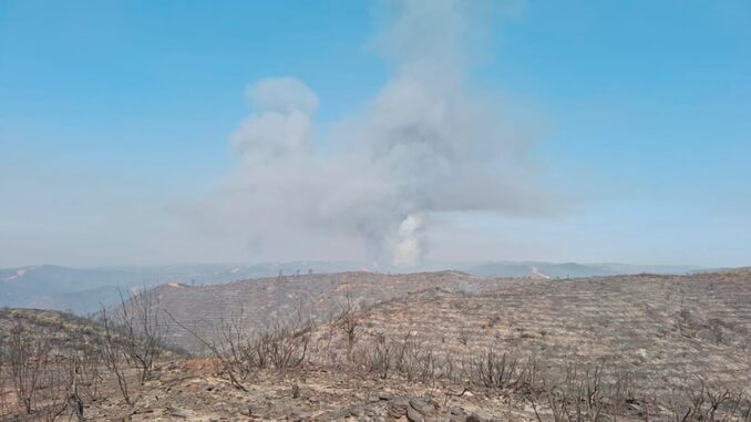 Pide al Gobierno declarar 'desastre natural' por incendio de Niebla en Andalucía Zona afectada por el incendio forestal de Niebla en Huelva