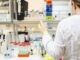Profesionales en un laboratorio del Biobanco de la sanidad pública andaluza durante una sesión de formación