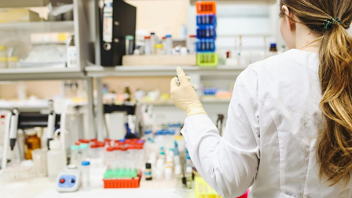 Profesionales en un laboratorio del Biobanco de la sanidad pública andaluza durante una sesión de formación