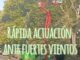 Equipo de parques y jardines retirando árboles dañados por el temporal en Cáceres
