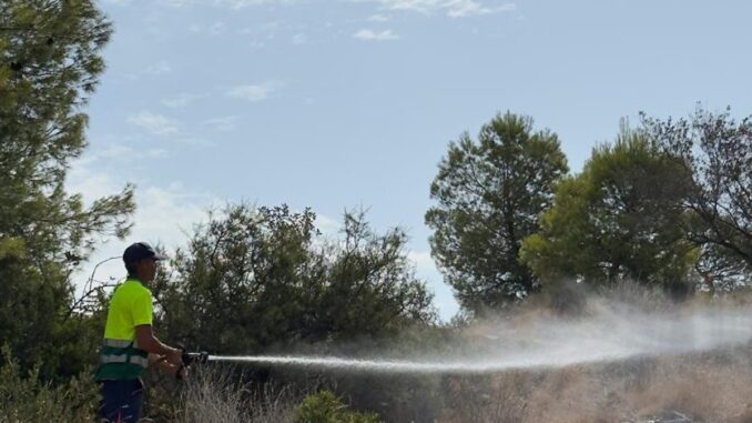 Castellón refuerza el riego de la Magdalena ante altas temperaturas Riego intensivo de la vegetación en la zona de la Magdalena, Castellón