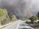 Efectivos del Consorcio de Bomberos de Huelva trabajando en la extinción del incendio forestal de Niebla