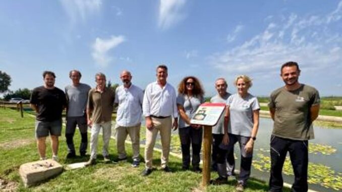 La Generalitat moderniza el Centro Acuícola de El Palmar con 350.000 euros Centro Acuícola de El Palmar de la Generalitat Valenciana durante la remodelación para conservación de especies
