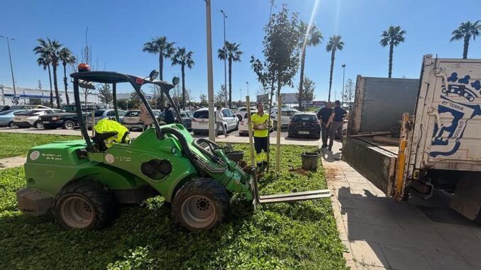 Suma 687 nuevas plantas en su campaña de otoño en Huelva Camión del Ayuntamiento de Huelva transportando nuevas plantas y árboles para la campaña de plantaciones de otoño