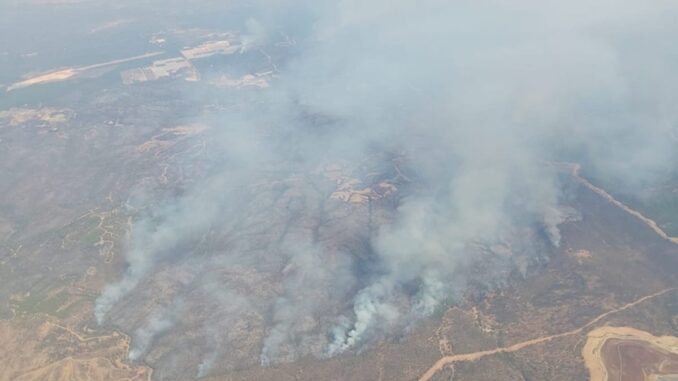 La Junta ordena desalojar cuatro nuevas zonas por el incendio de Niebla Operativo de la Junta de Andalucía durante el incendio de Niebla en Huelva