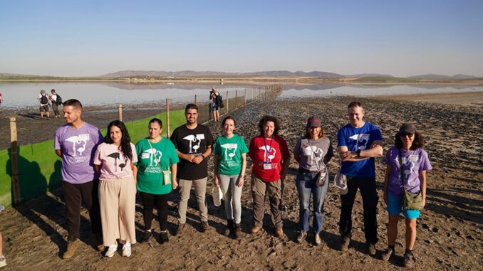 La Laguna de Fuente de Piedra anilla 600 pollos de flamenco en actividad de 40 años Actividad de anillamiento de pollos de flamenco en la Laguna de Fuente de Piedra con participantes realizando el marcaje científico