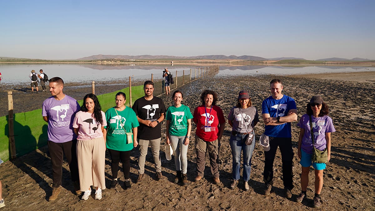 Actividad de anillamiento de pollos de flamenco en la Laguna de Fuente de Piedra con participantes realizando el marcaje científico