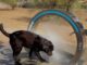 Arco con rociadores de agua instalado en el área canina de la calle Kálamos de Las Rozas para refresco de perros