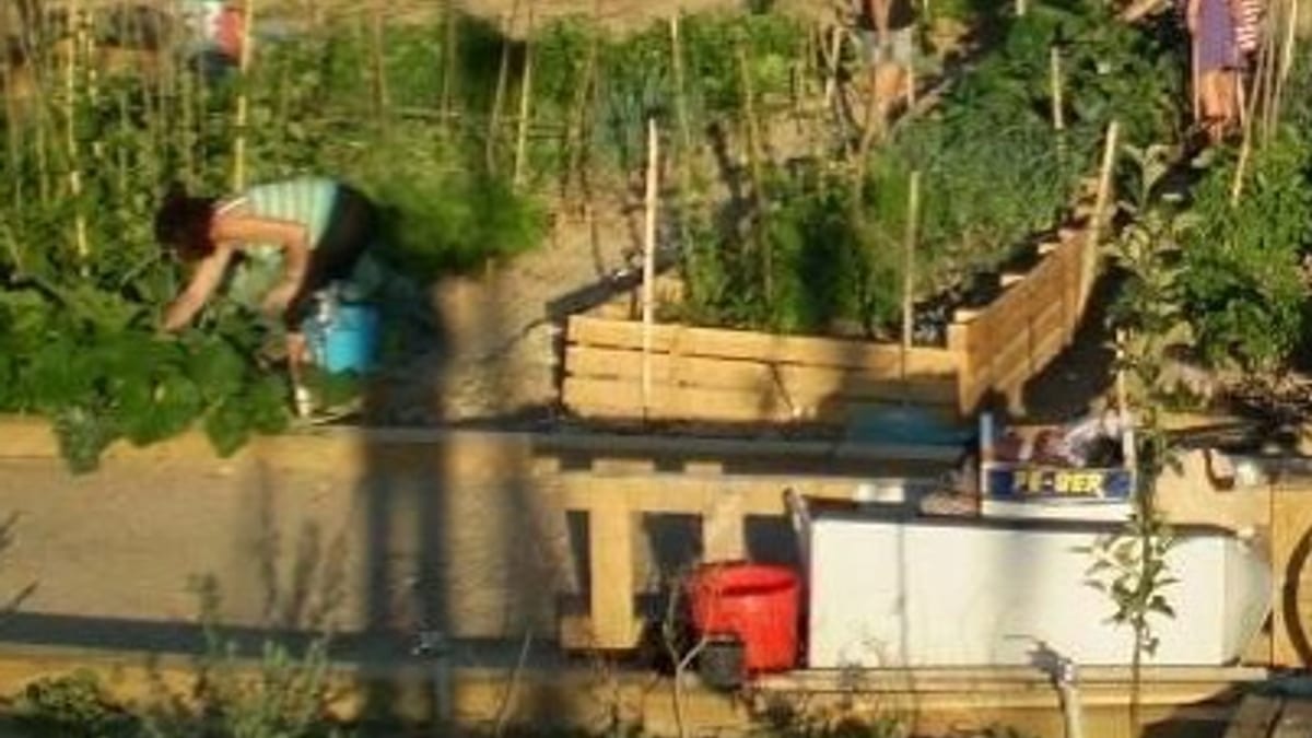 Cartel informativo sobre la convocatoria de 82 huertos urbanos del Ayuntamiento de Logroño