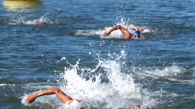 Mazagón acoge la octava prueba del Circuito Provincial de Aguas Abiertas Participantes de la Travesía de Verano en aguas abiertas en la playa de Ciparsa de Mazagón