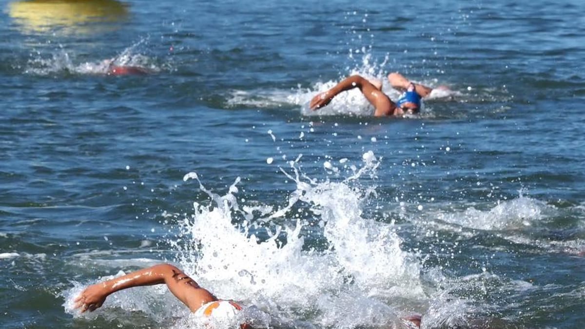 Participantes de la Travesía de Verano en aguas abiertas en la playa de Ciparsa de Mazagón