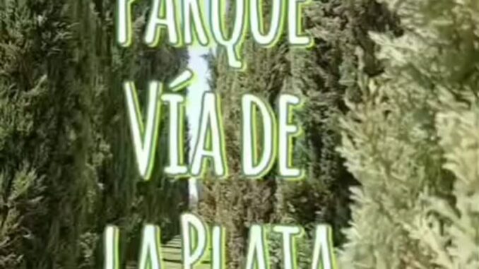 El Parque Vía de la Plata, referencia verde del barrio Montesol Vista del Parque Vía de la Plata con sus emblemáticos cipreses en el barrio Montesol de Cáceres
