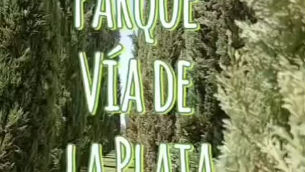 Vista del Parque Vía de la Plata con sus emblemáticos cipreses en el barrio Montesol de Cáceres