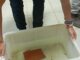 Ejemplares de ajolote recuperados por la Policía Nacional Adscrita en Granada