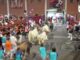Segundo encierro nocturno de las fiestas de San Sebastián de los Reyes con reses de la ganadería Hermanos García Jiménez