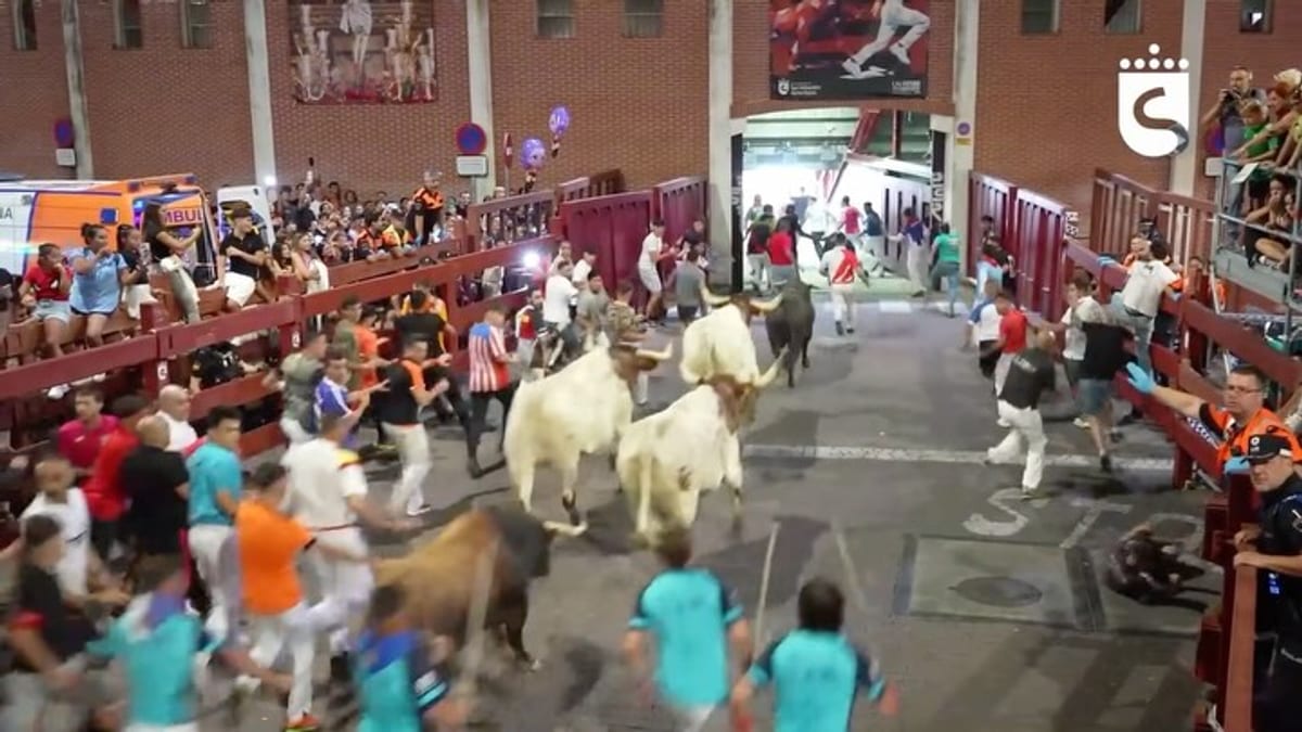 Segundo encierro nocturno de las fiestas de San Sebastián de los Reyes con reses de la ganadería Hermanos García Jiménez