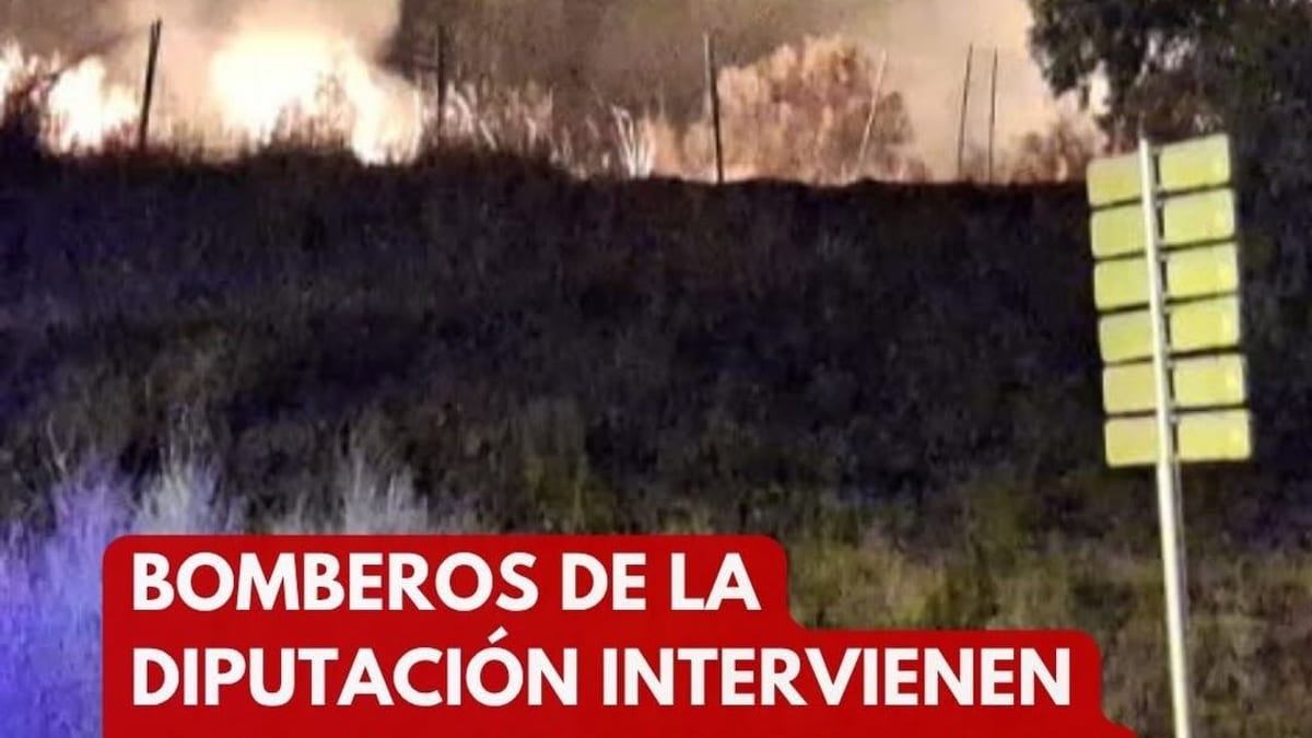 Bomberos del SEPEI intervienen en incendio forestal en El Berrocal, Plasencia