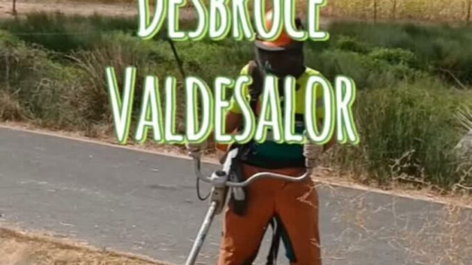 Trabajos de desbroce en Valdesalor con maquinaria y operarios especializados del Ayuntamiento de Cáceres