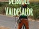 Trabajos de desbroce en Valdesalor con maquinaria y operarios especializados del Ayuntamiento de Cáceres