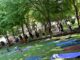Actividad del programa Verano Deportivo 2026 en Cuenca con participantes realizando ejercicio físico