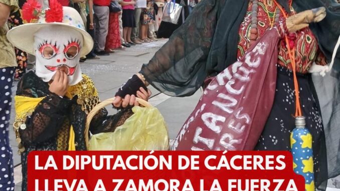 Participantes con máscaras tradicionales de Cáceres en el Festival de la Máscara de Zamora