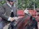 Espectáculo ecuestre Compás a Caballo en la plaza de toros de Pozuelo, con caballos y jinetes en diferentes disciplinas ecuestres