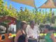 Niños con discapacidad jugando en un parque infantil accesible con columpios y juegos adaptados
