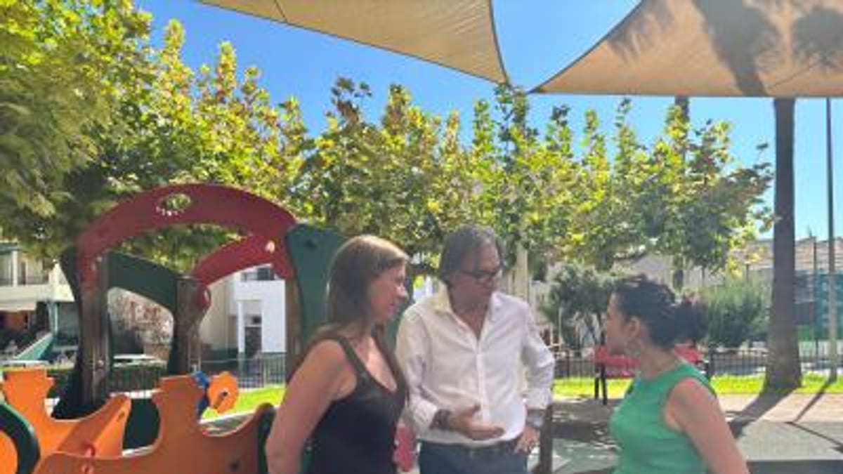 Niños con discapacidad jugando en un parque infantil accesible con columpios y juegos adaptados