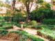Jardín del Príncipe de Anglona en el Madrid de los Austrias, espacio verde del siglo XVIII rodeado de arquitectura histórica