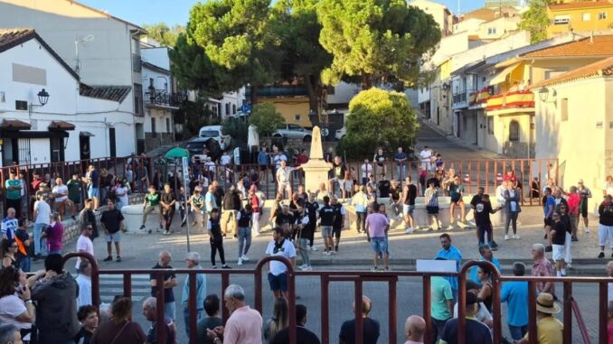 El Pilón regresa a los encierros de Arganda tras casi 40 años Encierro en Arganda del Rey con el Pilón regresando al recorrido de la calle Real