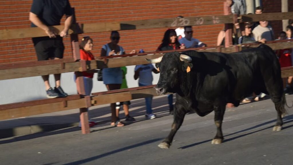 Participantes en el segundo encierro de las Fiestas Populares 2026 en Humanes de Madrid corriendo por las calles