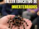 Cartel del taller educativo de invertebrados de Expoterraria Talavera de la Reina con David Chicharro