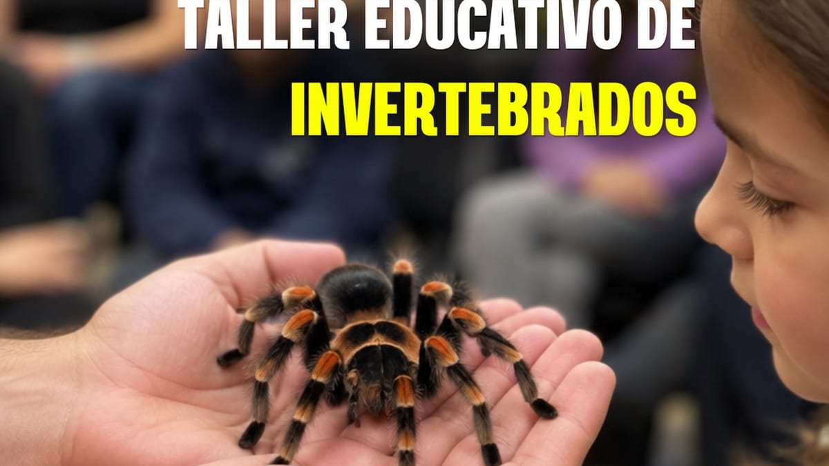 Cartel del taller educativo de invertebrados de Expoterraria Talavera de la Reina con David Chicharro