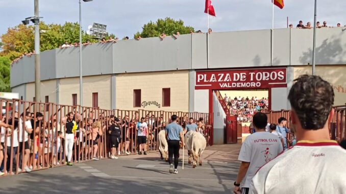 Celebra los segundos encierros de las Fiestas del Rosario en Valdemoro Encierros de las Fiestas en honor a Nuestra Señora del Rosario en Valdemoro, con participantes en las calles durante la celebración tradicional