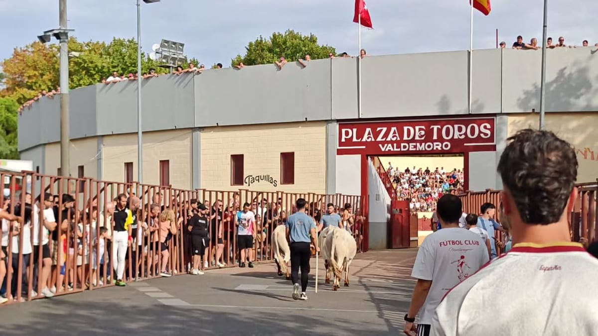Encierros de las Fiestas en honor a Nuestra Señora del Rosario en Valdemoro, con participantes en las calles durante la celebración tradicional