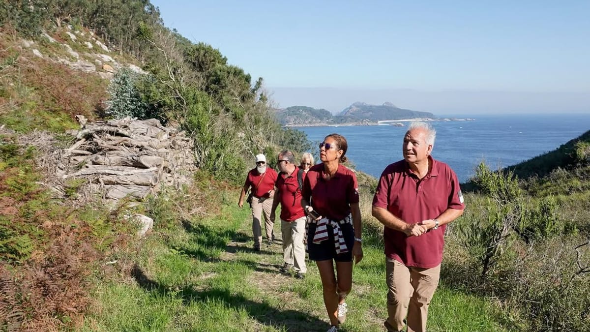 Trabajos de restauración ambiental en las Islas Cíes, Ons y Sálvora para retirada de especies vegetales invasoras